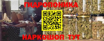 прущие грибы Апшеронск